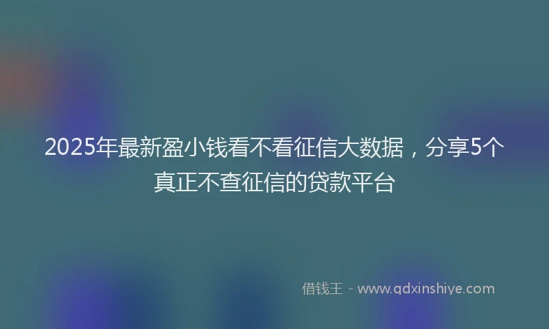 2025年最新盈小钱看不看征信大数据，分享5个真正不查征信的贷款平台