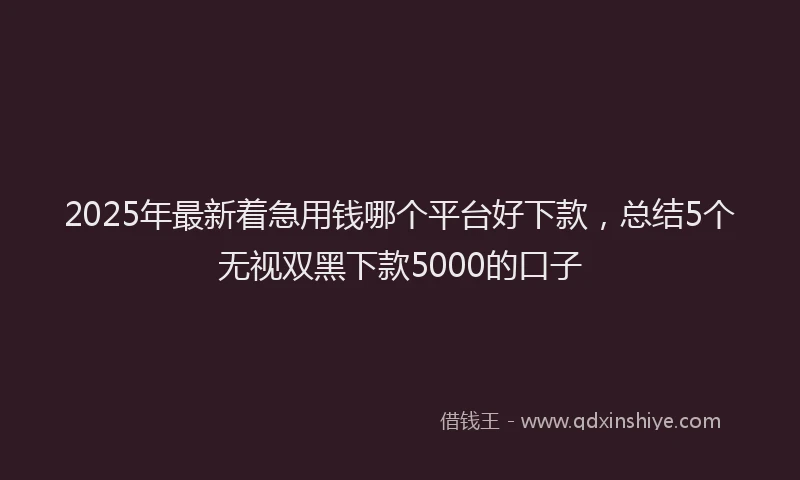 2025年最新着急用钱哪个平台好下款，总结5个无视双黑下款5000的口子