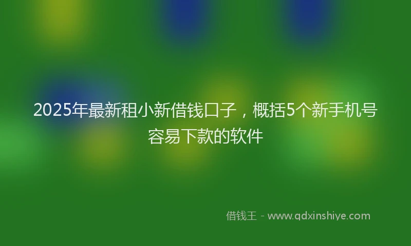 2025年最新租小新借钱口子，概括5个新手机号容易下款的软件