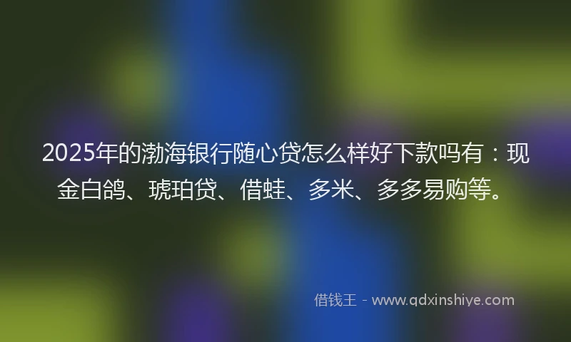 2025年的渤海银行随心贷怎么样好下款吗有：现金白鸽、琥珀贷、借蛙、多米、多多易购等。