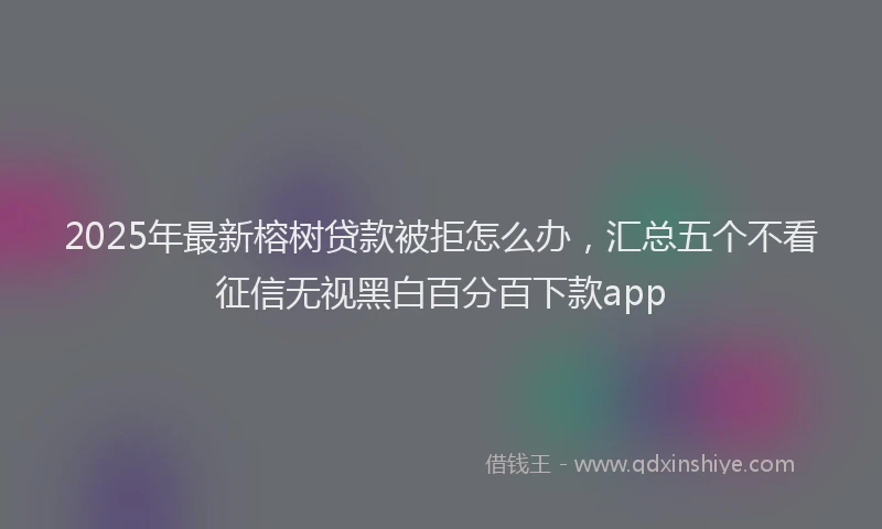 2025年最新榕树贷款被拒怎么办，汇总五个不看征信无视黑白百分百下款app