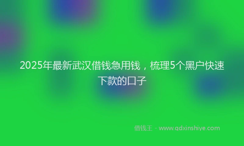 2025年最新武汉借钱急用钱，梳理5个黑户快速下款的口子
