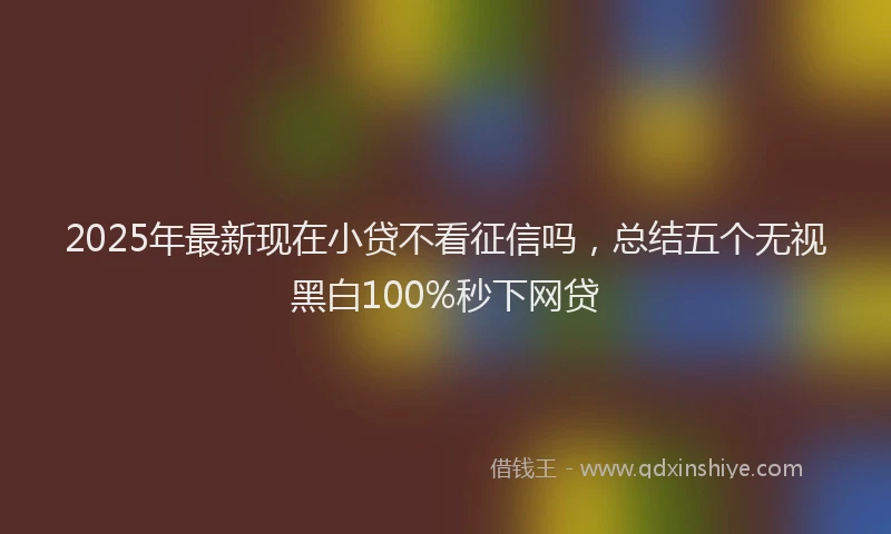 2025年最新现在小贷不看征信吗，总结五个无视黑白100%秒下网贷
