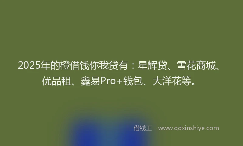 2025年的橙借钱你我贷有：星辉贷、雪花商城、优品租、鑫易Pro+钱包、大洋花等。