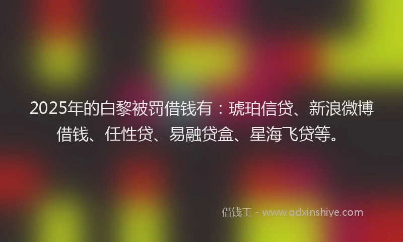 2025年的白黎被罚借钱有：琥珀信贷、新浪微博借钱、任性贷、易融贷盒、星海飞贷等。