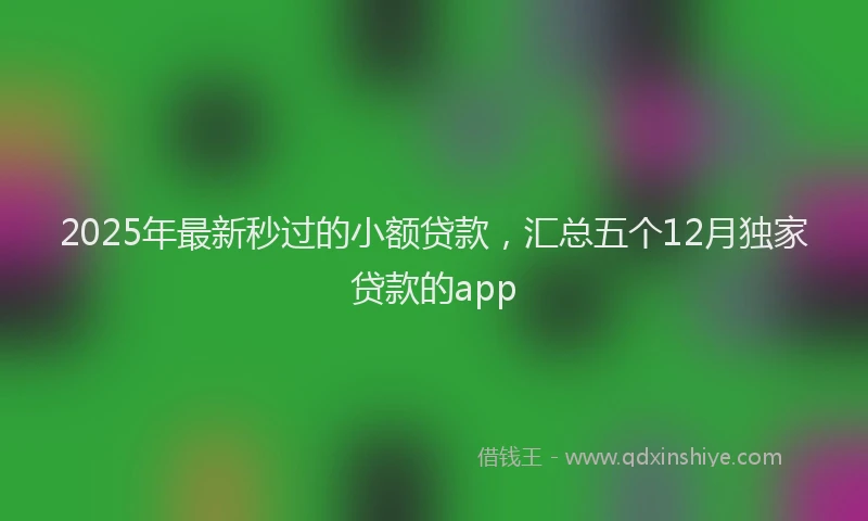 2025年最新秒过的小额贷款，汇总五个12月独家贷款的app