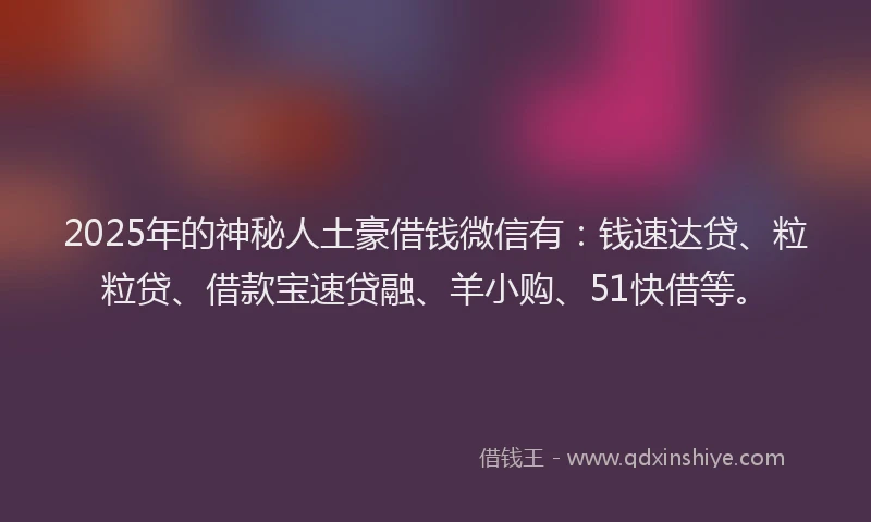 2025年的神秘人土豪借钱微信有：钱速达贷、粒粒贷、借款宝速贷融、羊小购、51快借等。