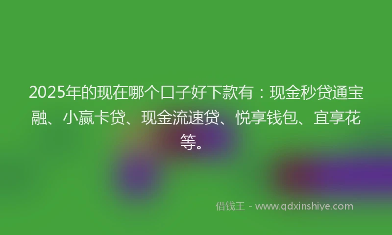 2025年的现在哪个口子好下款有：现金秒贷通宝融、小赢卡贷、现金流速贷、悦享钱包、宜享花等。