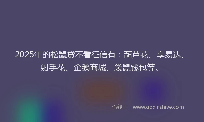 2025年的松鼠贷不看征信有：葫芦花、享易达、射手花、企鹅商城、袋鼠钱包等。