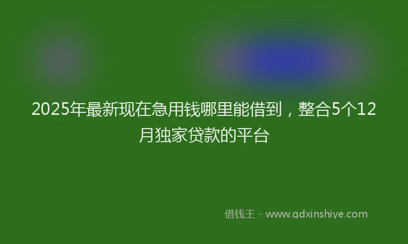 2025年最新现在急用钱哪里能借到，整合5个12月独家贷款的平台