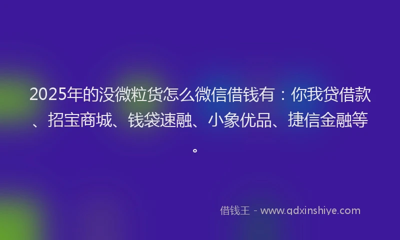 2025年的没微粒货怎么微信借钱有：你我贷借款、招宝商城、钱袋速融、小象优品、捷信金融等。