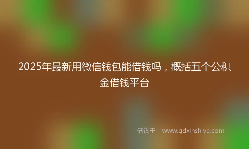 2025年最新用微信钱包能借钱吗，概括五个公积金借钱平台