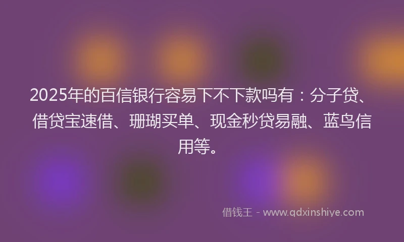 2025年的百信银行容易下不下款吗有：分子贷、借贷宝速借、珊瑚买单、现金秒贷易融、蓝鸟信用等。