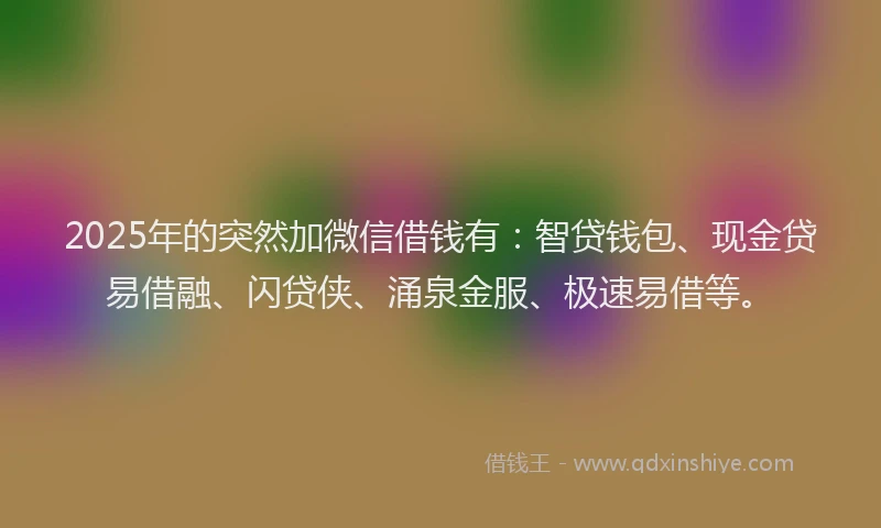2025年的突然加微信借钱有：智贷钱包、现金贷易借融、闪贷侠、涌泉金服、极速易借等。