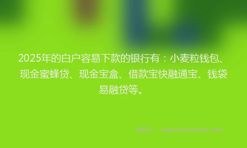 2025年的白户容易下款的银行有：小麦粒钱包、现金蜜蜂贷、现金宝盒、借款宝快融通宝、钱袋易融贷等。