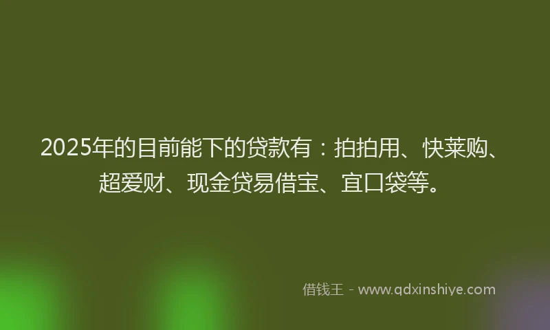 2025年的目前能下的贷款有：拍拍用、快莱购、超爱财、现金贷易借宝、宜口袋等。