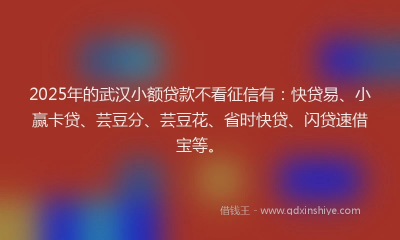 2025年的武汉小额贷款不看征信有：快贷易、小赢卡贷、芸豆分、芸豆花、省时快贷、闪贷速借宝等。