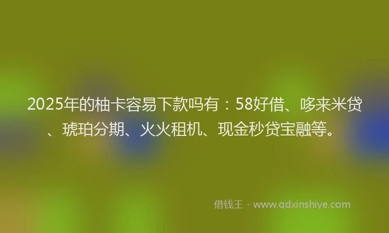 2025年的柚卡容易下款吗有：58好借、哆来米贷、琥珀分期、火火租机、现金秒贷宝融等。