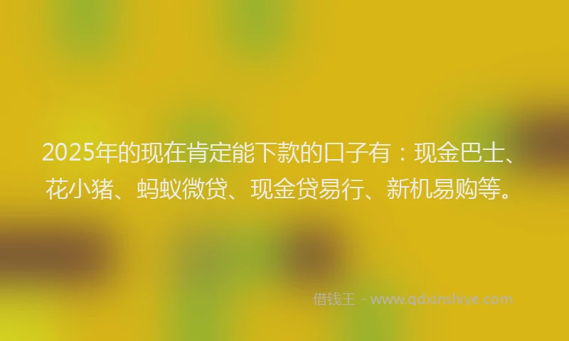 2025年的现在肯定能下款的口子有:现金巴士、花小猪、蚂蚁微贷、现金贷易行、新机易购等。