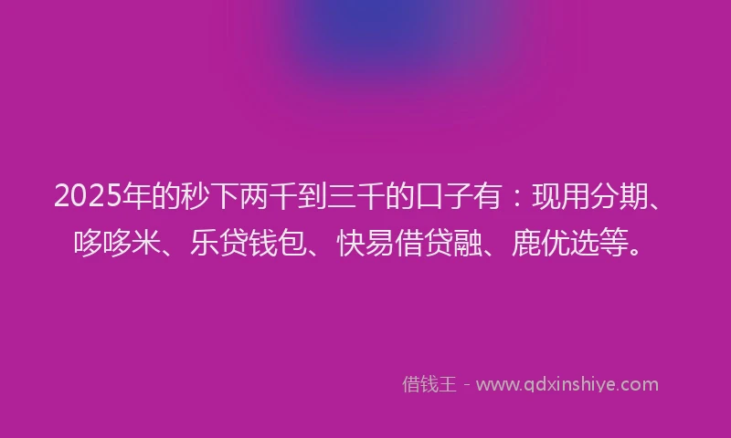 2025年的秒下两千到三千的口子有：现用分期、哆哆米、乐贷钱包、快易借贷融、鹿优选等。