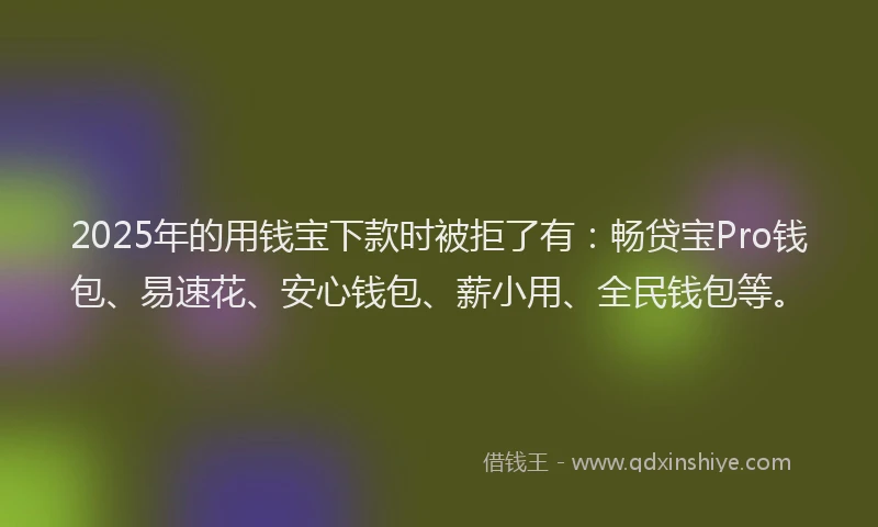2025年的用钱宝下款时被拒了有：畅贷宝Pro钱包、易速花、安心钱包、薪小用、全民钱包等。