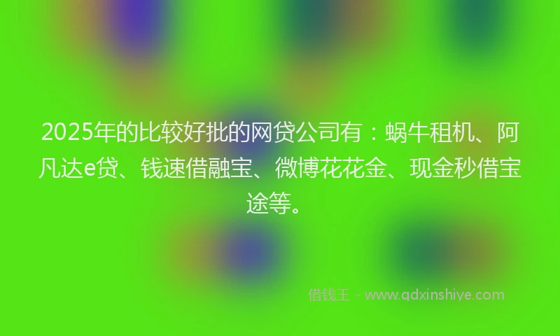 2025年的比较好批的网贷公司有：蜗牛租机、阿凡达e贷、钱速借融宝、微博花花金、现金秒借宝途等。
