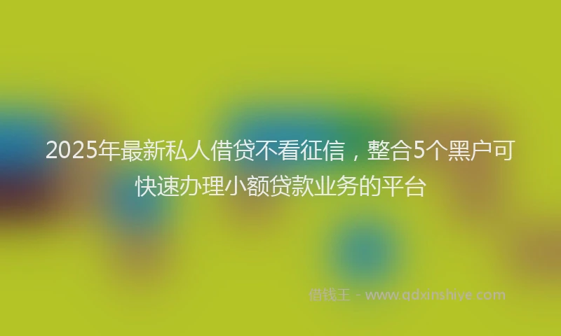2025年最新私人借贷不看征信,整合5个黑户可快速办理小额贷款业务的平台