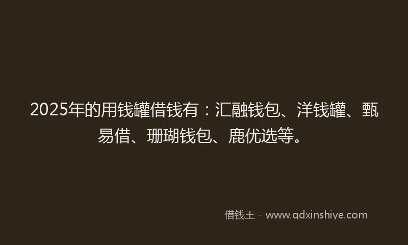 2025年的用钱罐借钱有：汇融钱包、洋钱罐、甄易借、珊瑚钱包、鹿优选等。