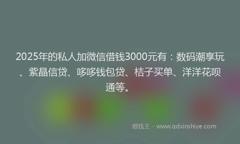 2025年的私人加微信借钱3000元有：数码潮享玩、紫晶信贷、哆哆钱包贷、桔子买单、洋洋花呗通等。