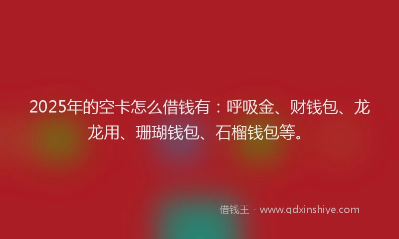 2025年的空卡怎么借钱有：呼吸金、财钱包、龙龙用、珊瑚钱包、石榴钱包等。