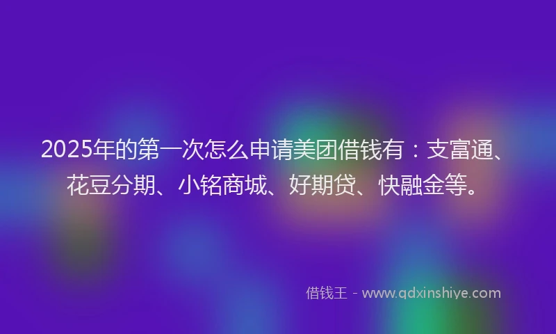 2025年的第一次怎么申请美团借钱有：支富通、花豆分期、小铭商城、好期贷、快融金等。
