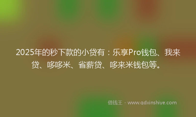 2025年的秒下款的小贷有：乐享Pro钱包、我来贷、哆哆米、省薪贷、哆来米钱包等。