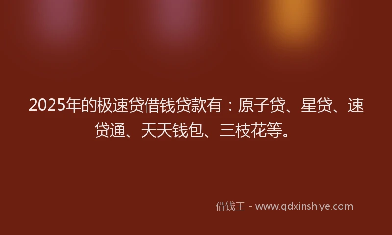 2025年的极速贷借钱贷款有：原子贷、星贷、速贷通、天天钱包、三枝花等。