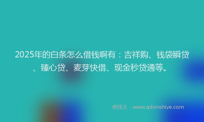 2025年的白条怎么借钱啊有：吉祥购、钱袋瞬贷、臻心贷、麦芽快借、现金秒贷通等。