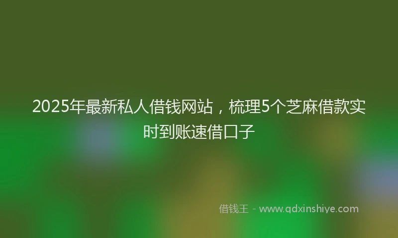 2025年最新私人借钱网站，梳理5个芝麻借款实时到账速借口子