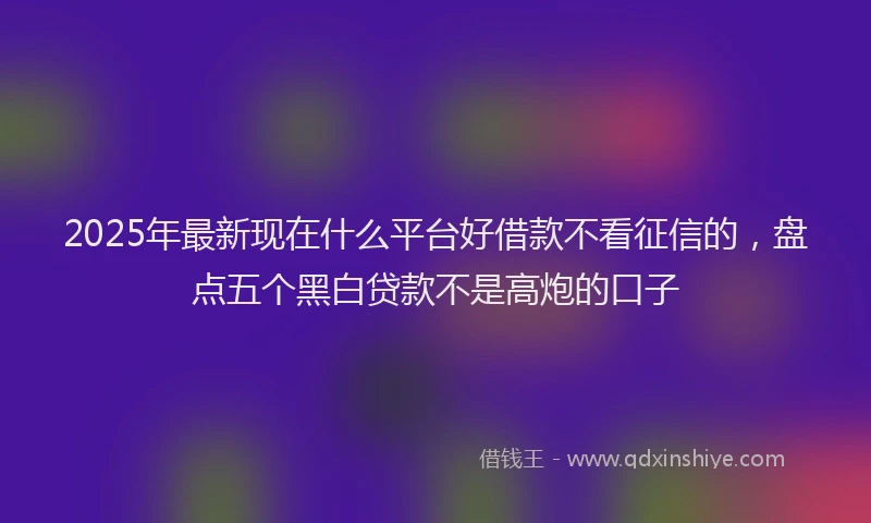 2025年最新现在什么平台好借款不看征信的，盘点五个黑白贷款不是高炮的口子