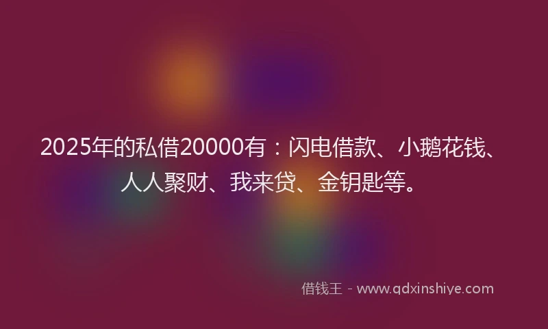 2025年的私借20000有：闪电借款、小鹅花钱、人人聚财、我来贷、金钥匙等。