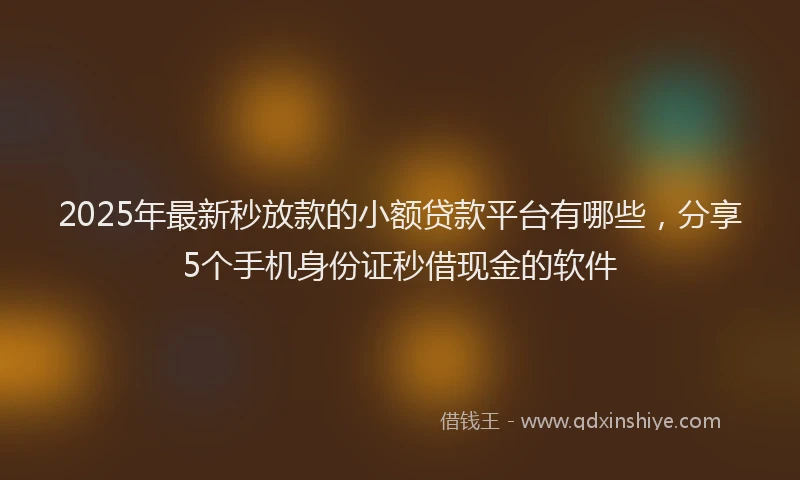 2025年最新秒放款的小额贷款平台有哪些，分享5个手机身份证秒借现金的软件
