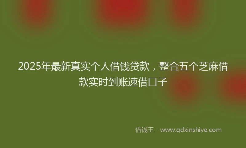 2025年最新真实个人借钱贷款，整合五个芝麻借款实时到账速借口子