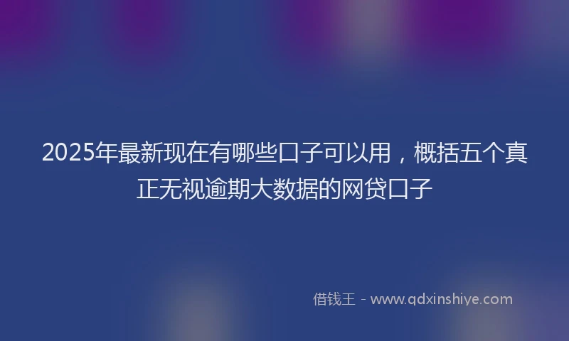 2025年最新现在有哪些口子可以用，概括五个真正无视逾期大数据的网贷口子