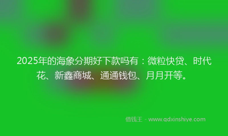 2025年的海象分期好下款吗有：微粒快贷、时代花、新鑫商城、通通钱包、月月开等。