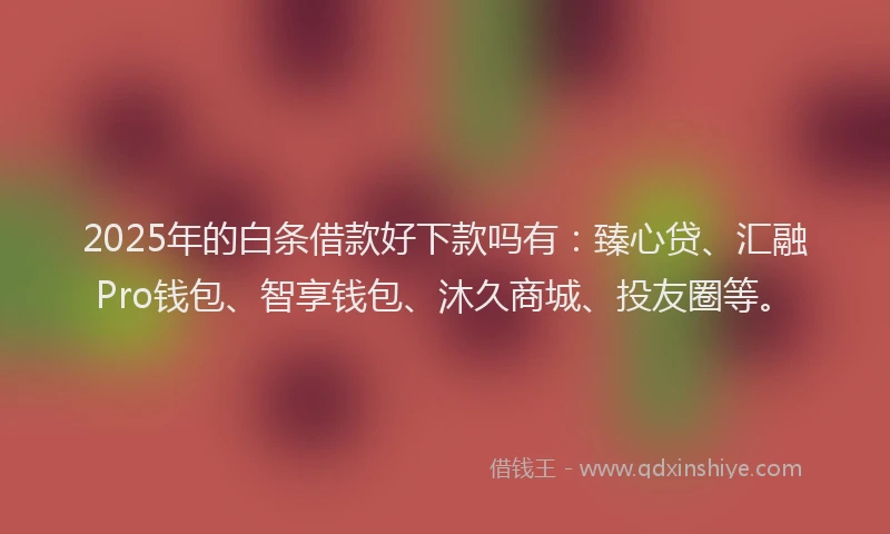 2025年的白条借款好下款吗有：臻心贷、汇融Pro钱包、智享钱包、沐久商城、投友圈等。