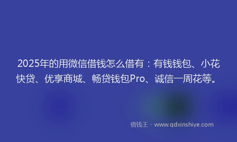 2025年的用微信借钱怎么借有：有钱钱包、小花快贷、优享商城、畅贷钱包Pro、诚信一周花等。