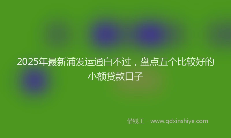 2025年最新浦发运通白不过，盘点五个比较好的小额贷款口子