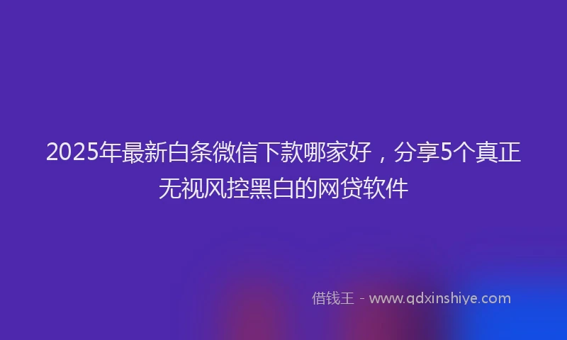 2025年最新白条微信下款哪家好，分享5个真正无视风控黑白的网贷软件