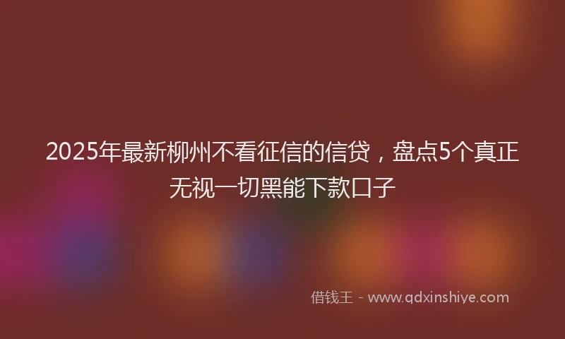 2025年最新柳州不看征信的信贷，盘点5个真正无视一切黑能下款口子