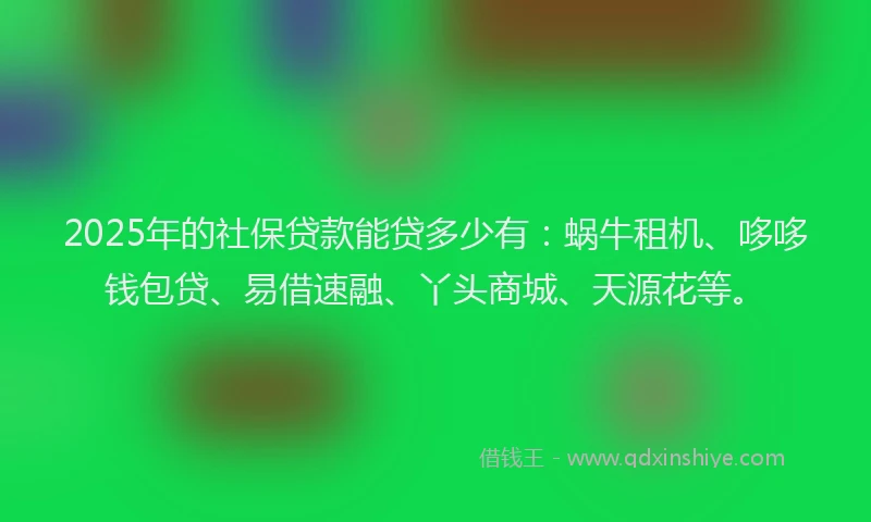 2025年的社保贷款能贷多少有：蜗牛租机、哆哆钱包贷、易借速融、丫头商城、天源花等。