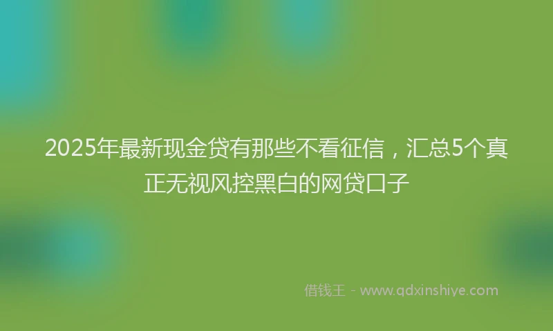 2025年最新现金贷有那些不看征信，汇总5个真正无视风控黑白的网贷口子