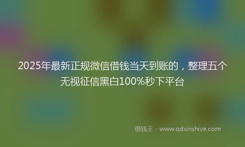 2025年最新正规微信借钱当天到账的，整理五个无视征信黑白100%秒下平台
