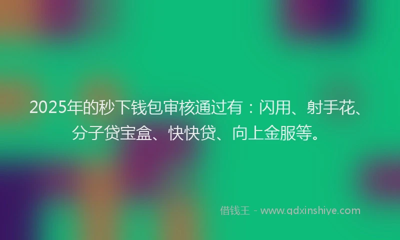 2025年的秒下钱包审核通过有：闪用、射手花、分子贷宝盒、快快贷、向上金服等。